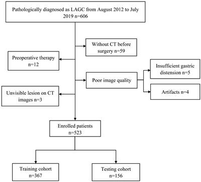 Computed tomography-based deep-learning prediction of lymph node metastasis risk in locally advanced gastric cancer